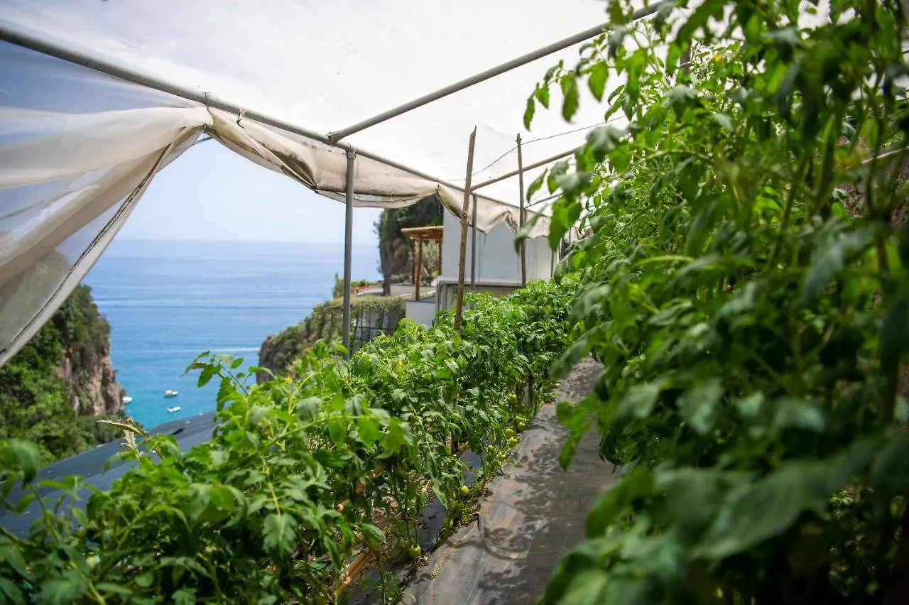 Hotel La Pergola Amalfi